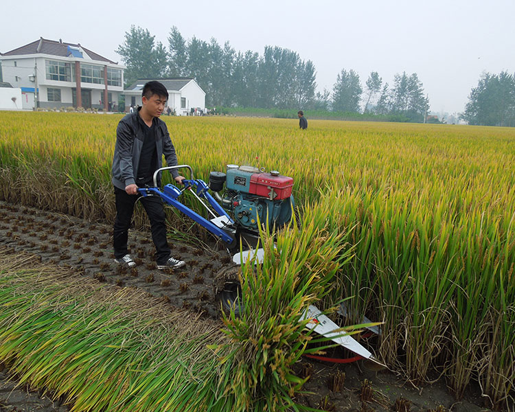 小型水稻收割機(jī)