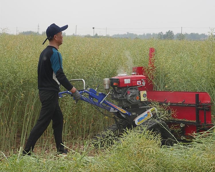 油菜收割機多少錢一臺