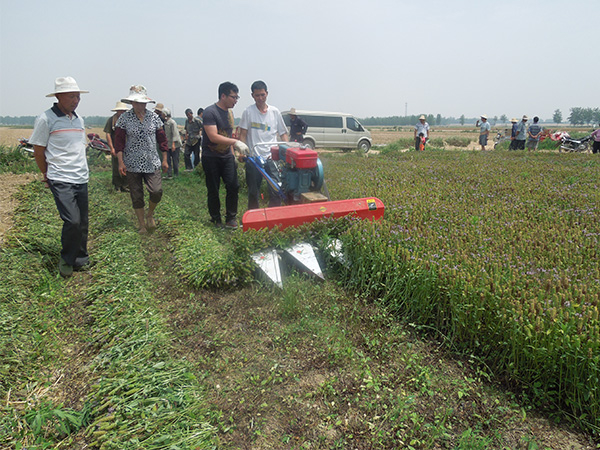 夏枯草收割機(jī)多少錢一臺